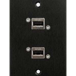 RUSBX2 Remote USB Charger Dual - Front