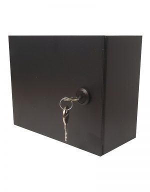 Surface mount dual gang low voltage case - with locking door. Side View